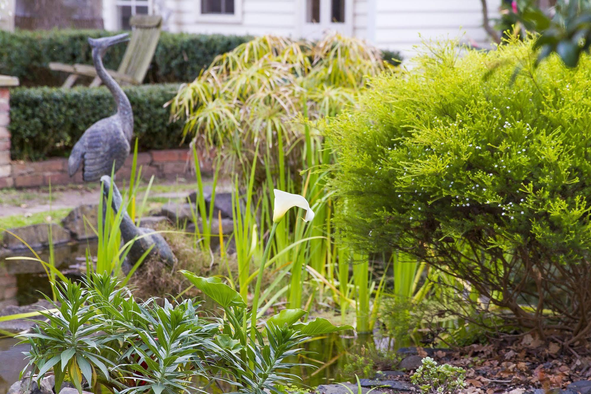 Glen Isla House Bed & Breakfast Phillip Island カウズ エクステリア 写真